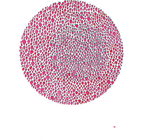 Brown,julia - An Abundance Of Strawberries - Vinyl Record