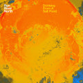 Run River North - Drinking From A Salt Pond [Vinyl]