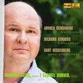 Hessenberg / Siegel / Dobner - Brettl-lieder / Kramerspiegel / Lieder Eines Lumpe - Music CD