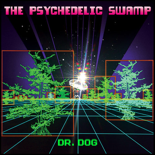 The Psychedelic Swamp Vinyl Record
