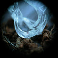 Ossicles - Mantelpiece - Music CD