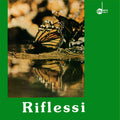 De Filippi,rino - Riflessi - Vinyl Record