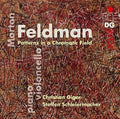 Feldman / Schleiermacher,steffen / Giger,christian - Patterns In A Chromatic Field - Music CD