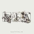 Sia - Colour The Small One - Vinyl Record