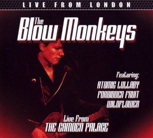 Blow Monkeys - Live From London - Music CD