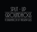 Liles,andrew - Groundhogs Split-up: A Exhumation By Andrew Liles - Music CD