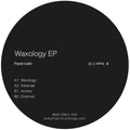 Iudin,pavel - Waxology - Vinyl Record