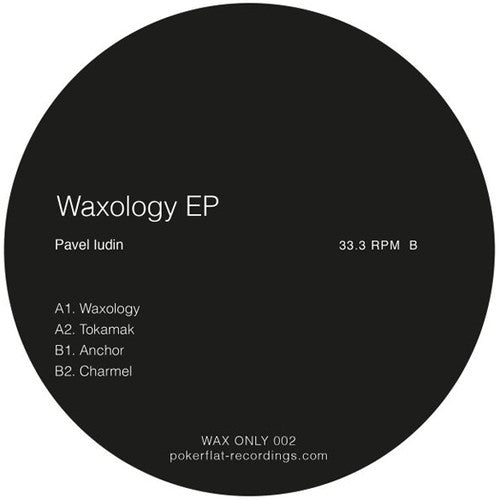 Iudin,pavel - Waxology - Vinyl Record