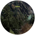 Pole - Lurch (version) - Vinyl Record