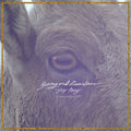 Young & Heartless - Stay Away - Music CD