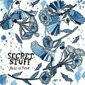 Secret Stuff - This Is Fine - Vinyl Record