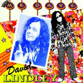 Lindley,david - Mr. Dave - Music CD
