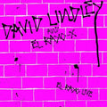 Lindley,david - El Rayo Live - Music CD