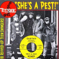 Teenage Shutdown 15: She's A Pest / Various - Teenage Shutdown 15: She's A Pest / Various - Music CD