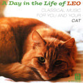 Day In The Life Of Leo: Classical For Cat / Var - Day In The Life Of Leo: Classical For Cat / Var - Music CD