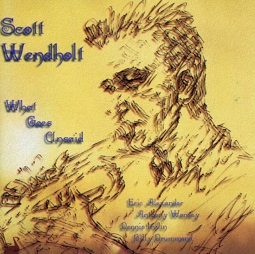 Wendholt,scott - What Goes Unsaid - Music CD