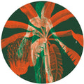 Hugh Mane - Control Drama - Vinyl Record