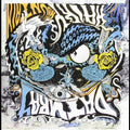 Datura4 - Hairy Mountain - Vinyl Record
