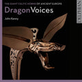 Kenny,john - Dragon Voices: Giant Celtic Horns Of Ancient Eur - Music CD