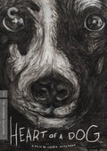 Criterion Collection - Heart Of A Dog/dvd - DVD