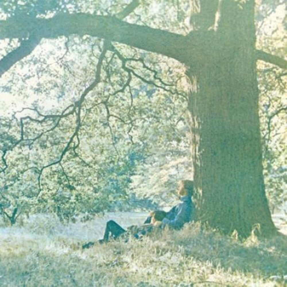 Plastic Ono Band Vinyl Record