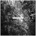 Pekler,andrew - Tristes Tropiques - Vinyl Record