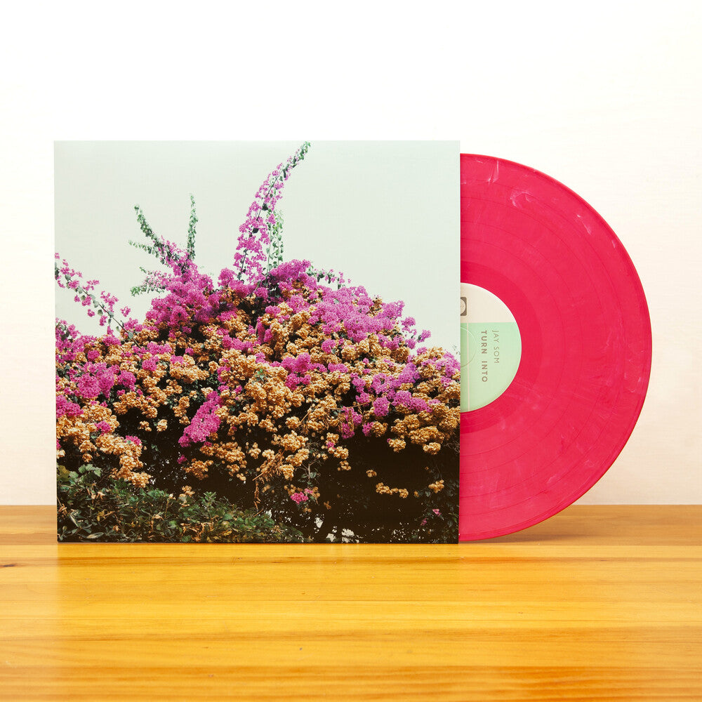 Turn Into Vinyl Record