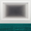 Twin Limb - Haplo - Vinyl Record