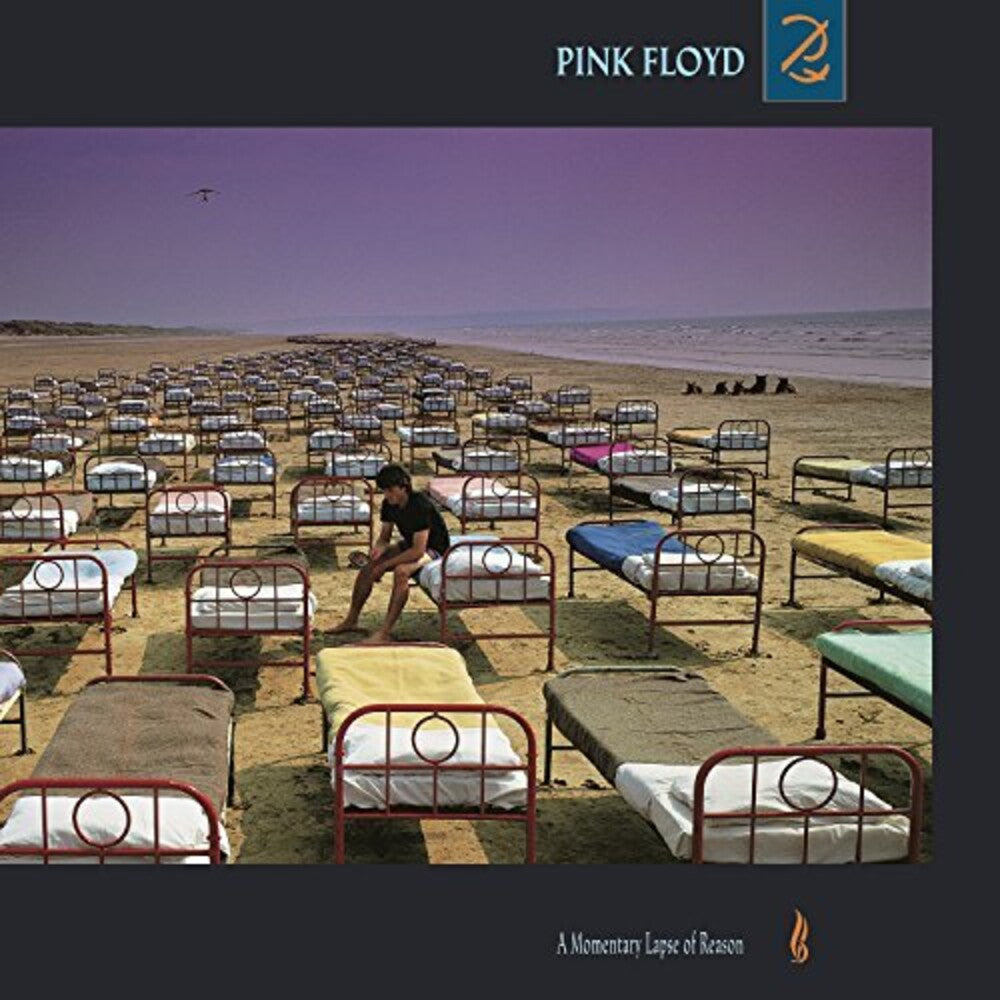 A Momentary Lapse of Reason Vinyl Record