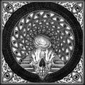 Jagged Vision - Death Is This World - Vinyl Record