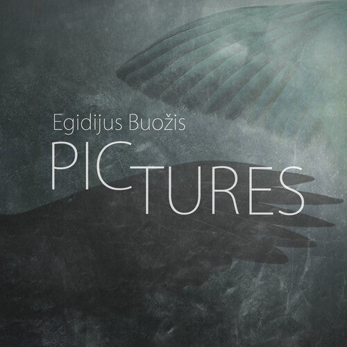 Buozis,egidijus / Norby,caecilie / Danielsson,lars - Pictures - Music CD