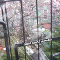 Cheap Girls / Lemuria - Cheap Girls / Lemuria - Vinyl Record