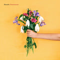 Decade - Pleasantries - Music CD