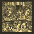 Jethro Tull - Stand Up (steven Wilson Remix) - Music CD
