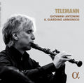 Telemann / Armonico / Antonini - Telemann - Vinyl Record