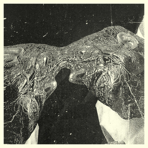 Secret Boyfriend - Memory Care Unit - Vinyl Record