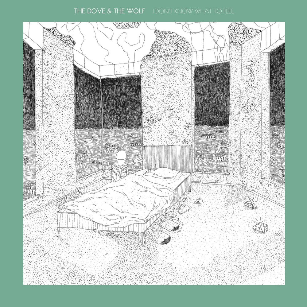I Don't Know What To Feel Vinyl Record