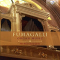 Fumagalli / Ruggeri - Polibio Fumagalli: Organ Music - Music CD