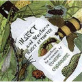 Chadbourne,eugene - Insect & Western: Insect Attracter - Music CD