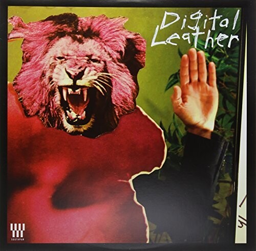 Hussy / Digital Leather - Split - Vinyl Record