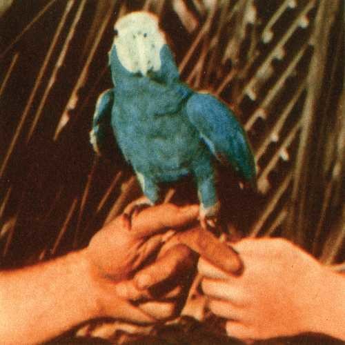 Bird,andrew - Are You Serious - Music CD