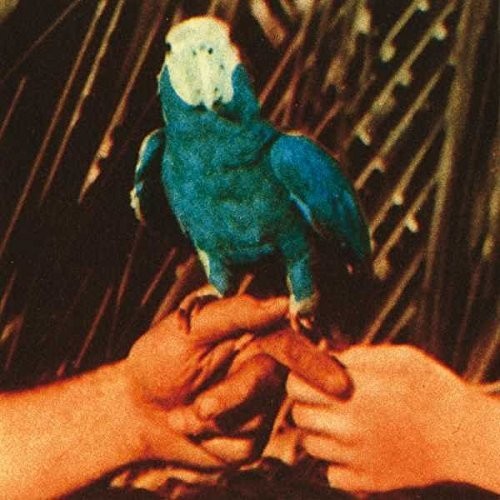 Bird,andrew - Are You Serious - Vinyl Record