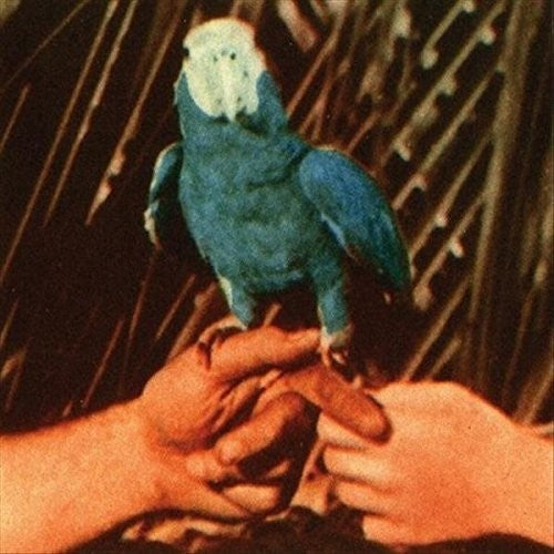Bird,andrew - Are You Serious - Music CD