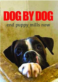 Dog By Dog - Dog By Dog - DVD