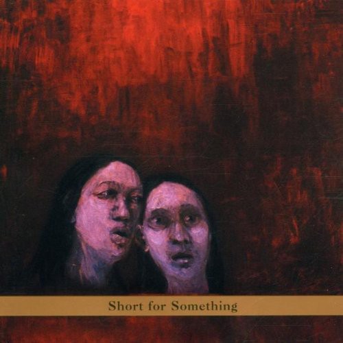 New Klezmer Trio - Short For Something - Music CD