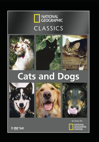 National Geographic: Classics - Cats & Dogs - National Geographic: Classics - Cats & Dogs - DVD