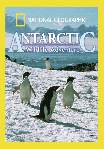 National Geographic: Antarctic Wildlife Adventure - National Geographic: Antarctic Wildlife Adventure - DVD
