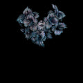 Lot Like Birds - Divisi - Music CD