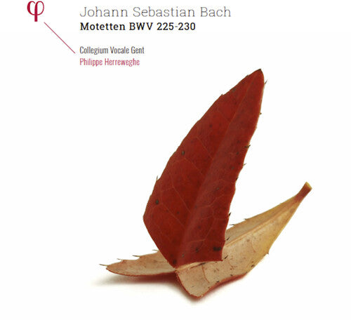 Bach,j.s. / Collegium Vocale Gent / Herreweghe - Johann Sebastian Bach: Motetten Bwv 225-230 - Vinyl Record