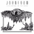 Frum,john - Stirring In The Noos - Music CD